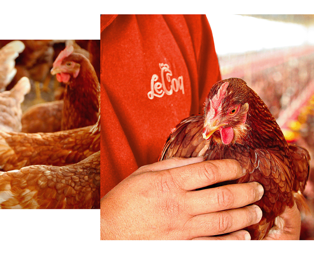 logo應(yīng)用實拍圖.png logo應(yīng)用實拍圖.png